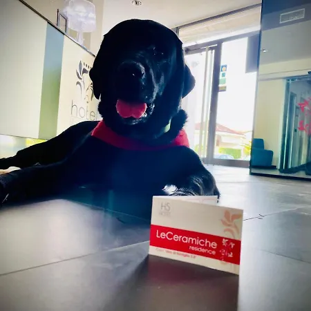 Le Ceramiche 호텔 몬탈토 우푸고