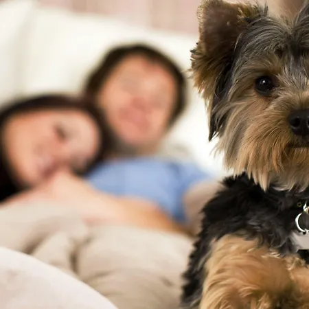 Hotel Le Ceramiche 4*