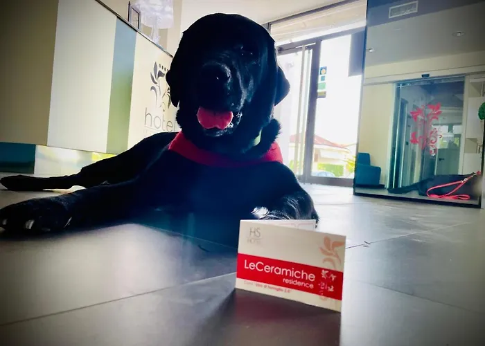 Le Ceramiche 酒店 蒙塔尔托乌富戈